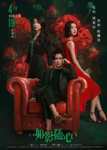 皮囊之下（2012）